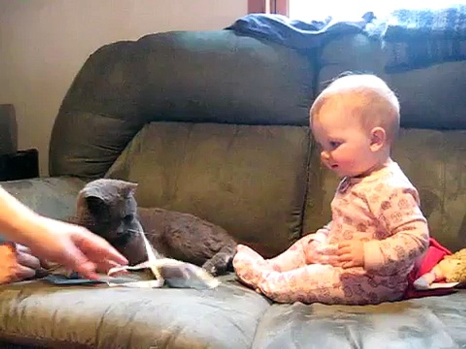 Cat and Baby Ribbon - Funny Cat Videos