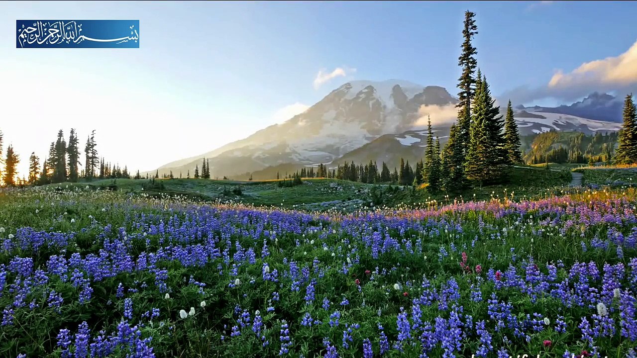 İsra Suresi-Surah al İsra-Mustafa İsmail-23/29 سورة الإسر (HD nature video)