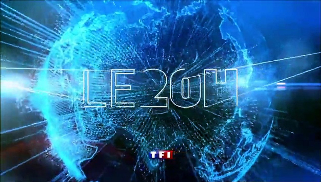 Caillaud Ile de France au journal de 20h sur TF1 le 14 Avril 2015 - Sujet : l'Apprentissage