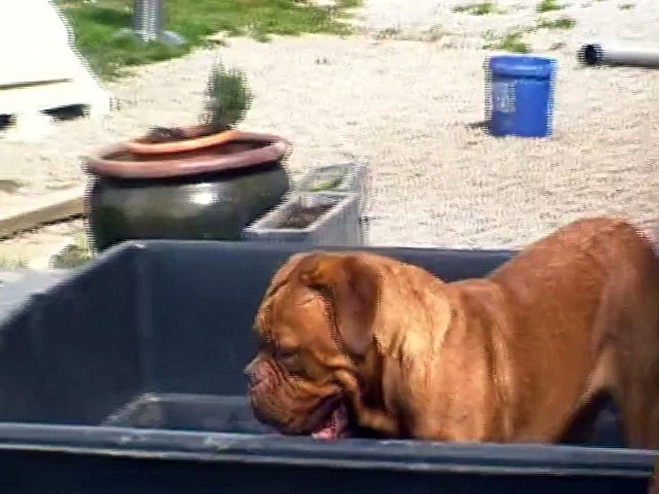 Amazonite Rock Steady