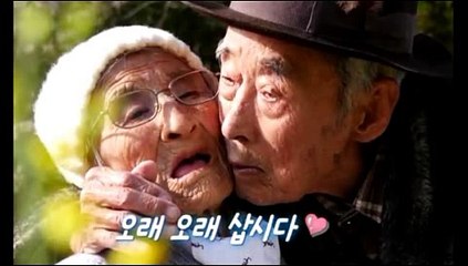 세상에 이런일이 836회 20150416 FULL HD 연필심 조각가 드링크제 할아버지 자연산회 감별하는개 104세 101세 할아버지 할머니 세상에이런일이 836화