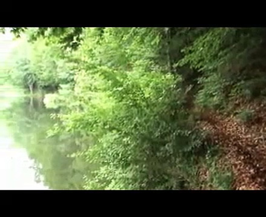 Lacul cu nuferi de la Dognecea, jud. Caras-Severin