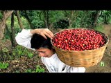 Fair Trade Coffee: How to buy fair trade coffee