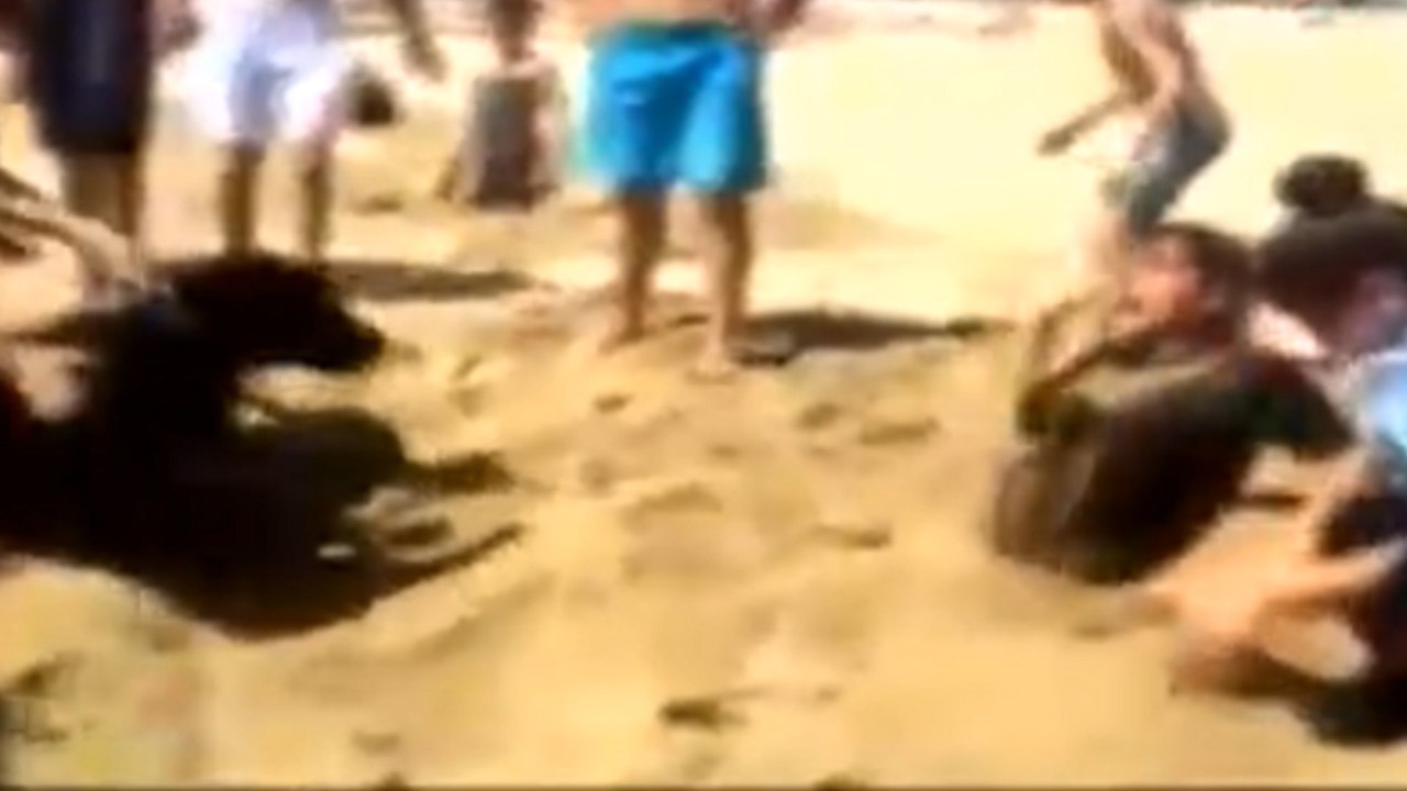 Sen insan olamazsın!