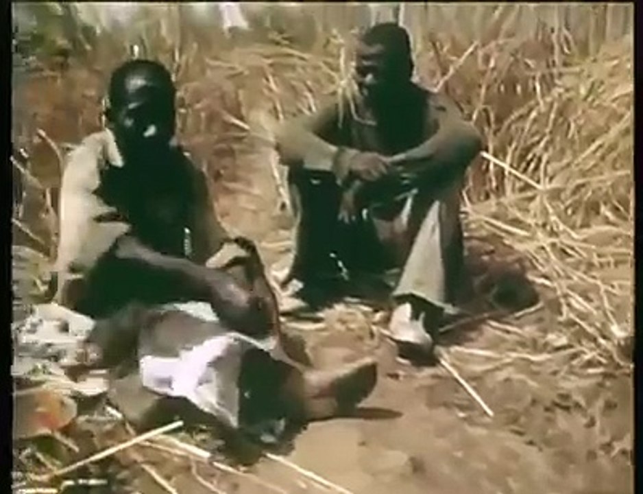 Afrikalıların Dev Piton Avı