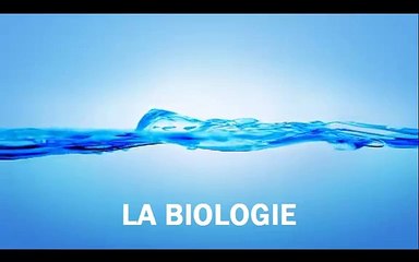 BIOLOGIE S1 LES GLUCIDES