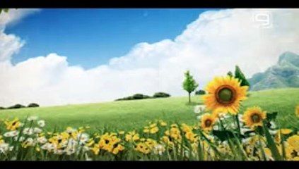 ZDRAVLJE IZ PRIRODE BR 002 KAKO SPRECITI I POBEDITI RAK TV KANAL 9 NOVI SD 15,04,2015