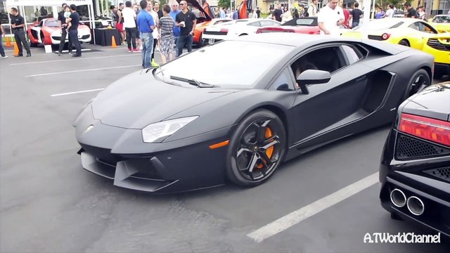 ASIAN CHICK Revving & Driving Lamborghini Aventador! Exhaust Sound
