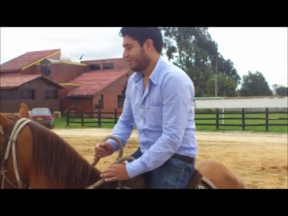 Venta de Caballos de Paso Fino