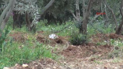 Reyhanlı' da Yine Bomba Alarmı