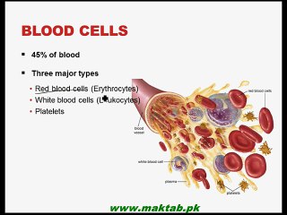 FSc Biology Book1, CH 14, LEC 10; Transport in Man-Blood (Part 2)