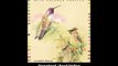 Download Drawing Birds with Colored Pencils By Kaaren Poole PDF