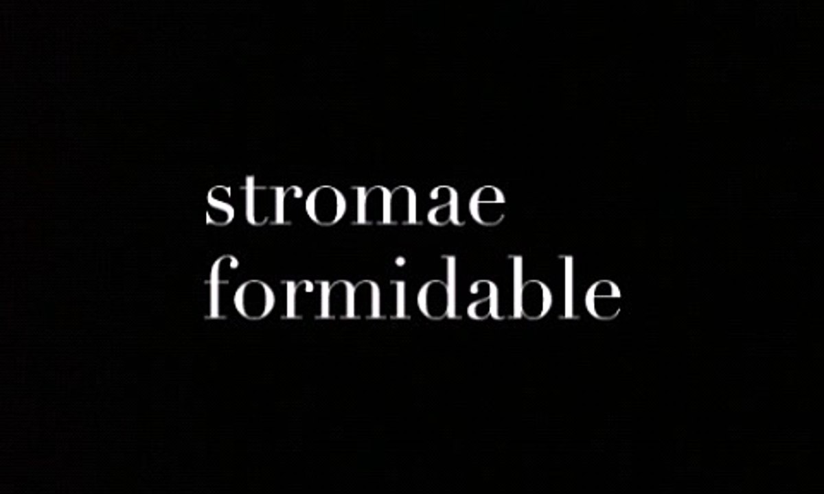 stromae formidable