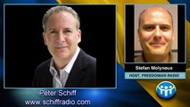 Stefan Molyneux of Freedomain Radio on the Peter Schiff Radio Show
