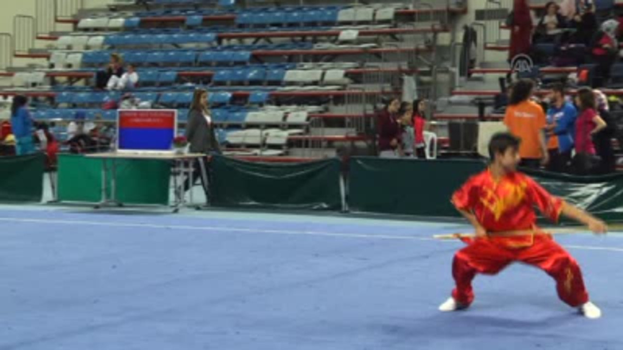 Türkiye Wushu Taolu Büyükler ve Gençler Şampiyonası