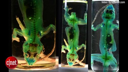 Crave - Coming soon: Commuting via Aero-X hoverbike, Ep. 160