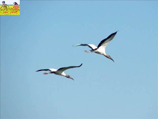 HANSHAMITHUN OGO JAO AKHIL BONDHU GHOSH