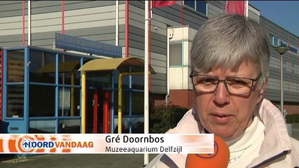 Muzeeaquarium Delfzijl moet wijken voor een dijk - RTV Noord