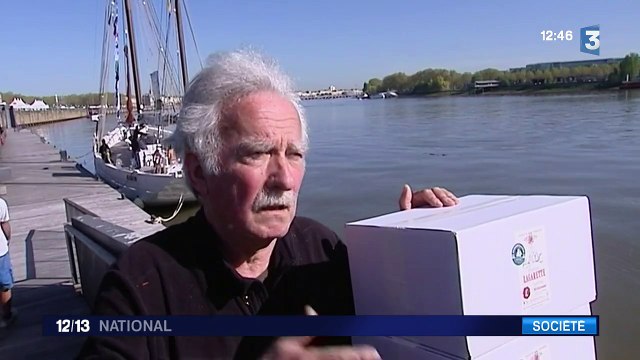 Écologie : le transport de marchandises par voile se développe