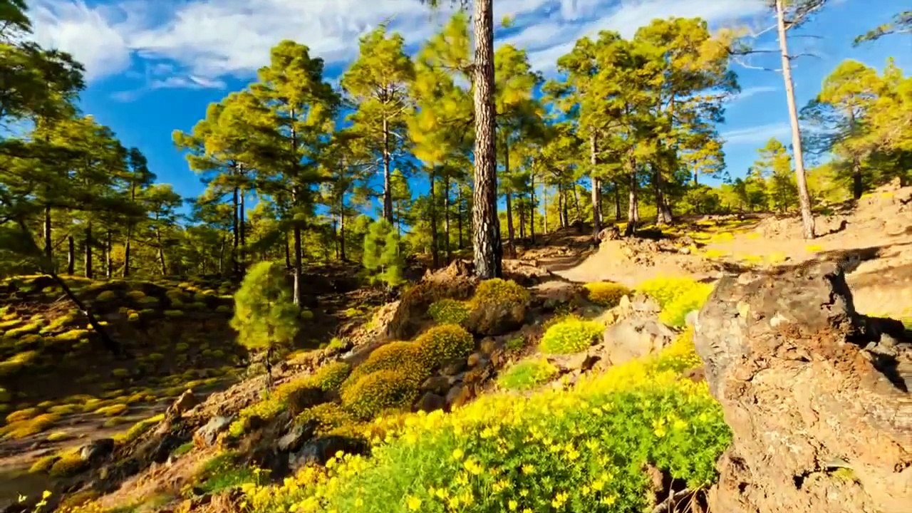 Spirit Science ★ Lesson 22_2 ♦ Cycles N  Sine Waves