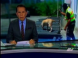 Policía decomisa droga camuflada en postes de plástico en Esmeraldas