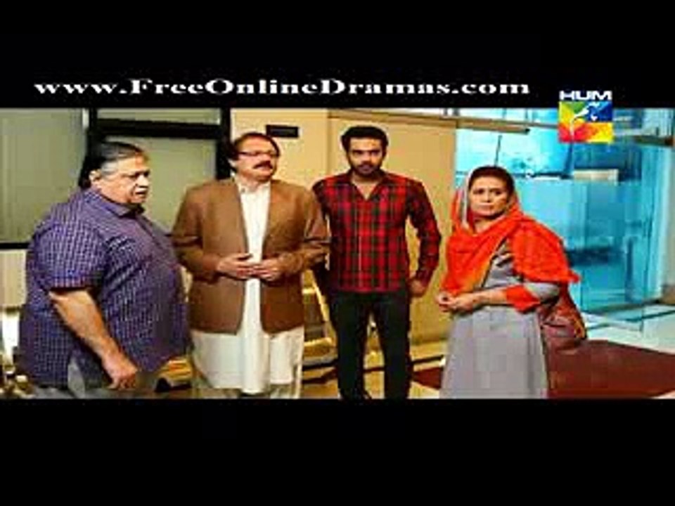 Aye Zindagi Episode 6 on Hum Tv in High Quality 16th April 2015