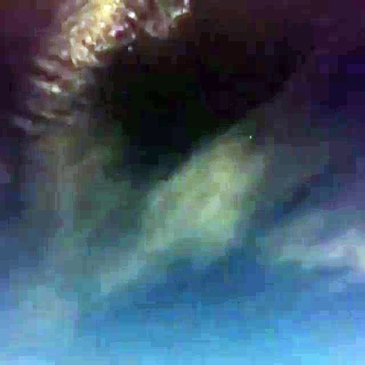 Pedro video 2 Miami - 16 de Abril