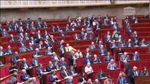 Question de Marie-Louise Fort à l'Assemblée Nationale portant sur l'affaire de Villefontaine (Isère)