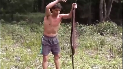 Yakaladığı  Zehirli Yılanlar ile Tavşan Avladı