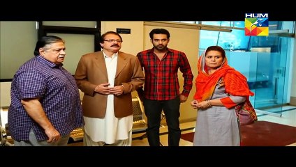 Aye Zindagi New Episode 6 on Hum Tv 16 April 2015