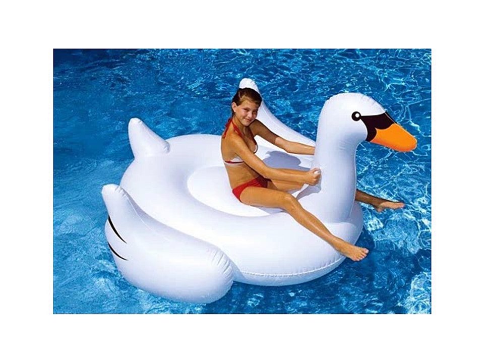 Giant Swan Ride On