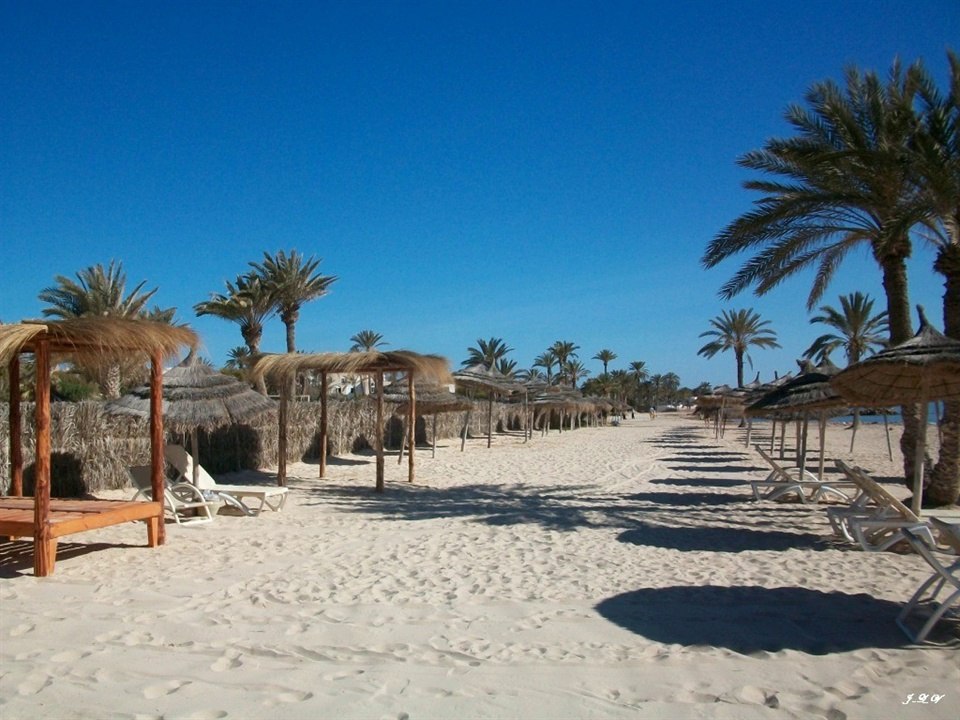 Chayanne "La Playa"