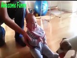Funny cats and dogs Compilation funny videos of babies and pets