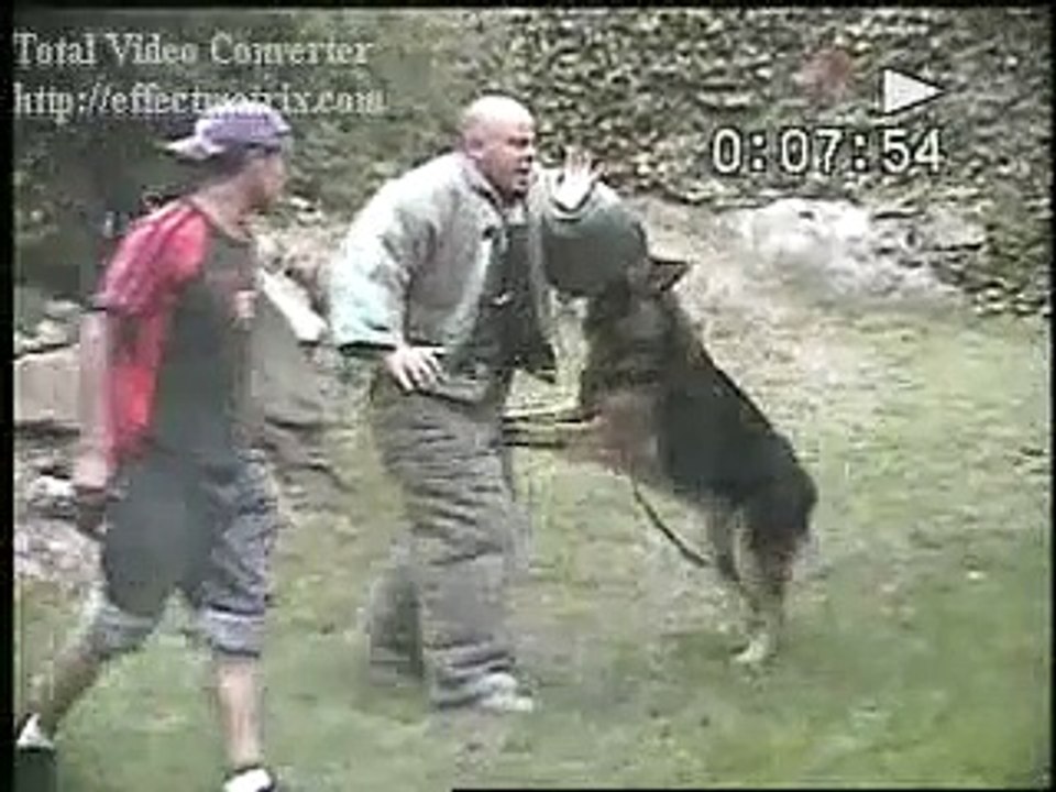 ENTRENAMIENTO PERRO DE PROTECCION