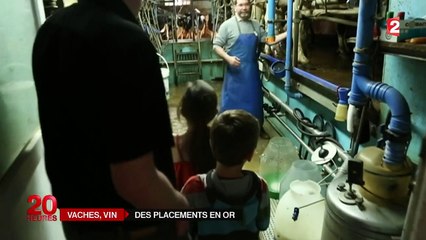 Les vaches et le vin, deux nouveaux placements