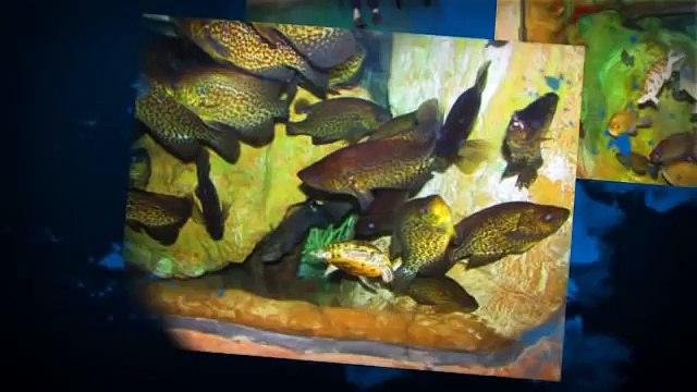 Assisted Living Denver Co - (303) 956-9037 - Memory Care Denver Colorado