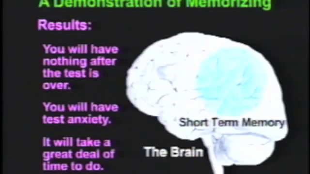 Long Term Vs. Short Term Memory
