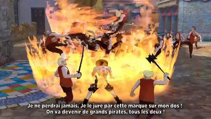 One Piece : Pirate Warriors 3 - Les amis
