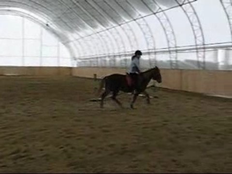 Moi et Canelle - Transition trot-galop