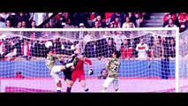 Zlatan Ibrahimovic ● Amazing Skills Show 2015   Best Goals Ever   Fantastic Player™