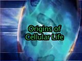 ***** 20. Evolution vs. Creationism: Origins of Cellular Life *****