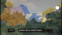euronews science - Danube Delta in danger - say activists