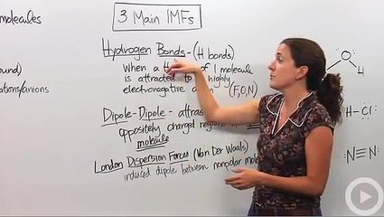 Intermolecular Forces