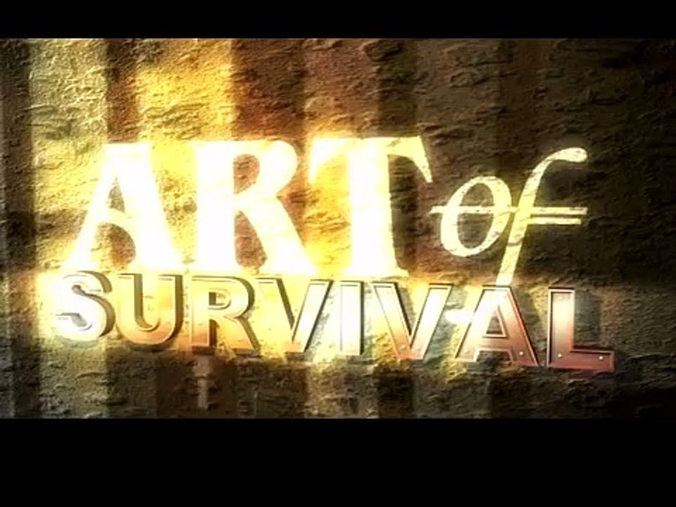 Art of Survival ( Shedreck)