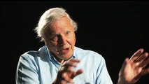 Sir David Attenborough: 'Climate change dangers worse than we thought'