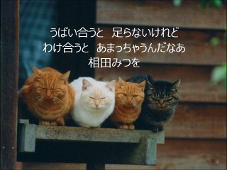 長谷川桜子（慣らし保育アドバイザー）～子どもに読み聞かせたい言葉「相田みつを」
