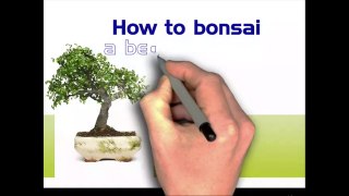 Bonsai Tools Clip