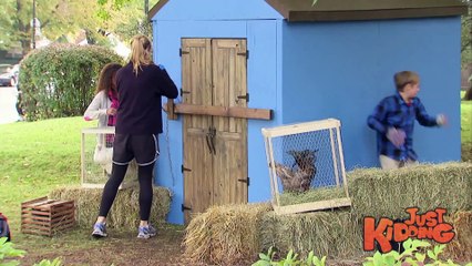 Chicken Farm Accident!