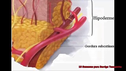 Barriga Tanquinho em 10 Semanas - Perder barriga queima 48 horas