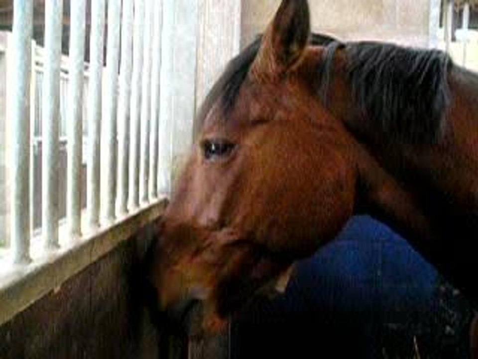 Cadence